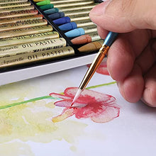 Load image into Gallery viewer, HASHI Non Toxic Soft Water Soluble Oil Pastels for Artist and Professional