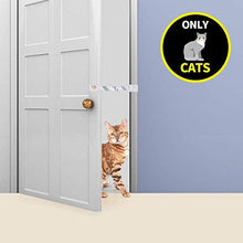 Load image into Gallery viewer, [HASHI] Adjustable Pet Door strap and latch / free shipping Within 7 days of delivery
