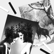 Load image into Gallery viewer, [HASHI] (1~48 Colors) Long Soft Pastels set for profesional / free shipping Within 7 days of delivery
